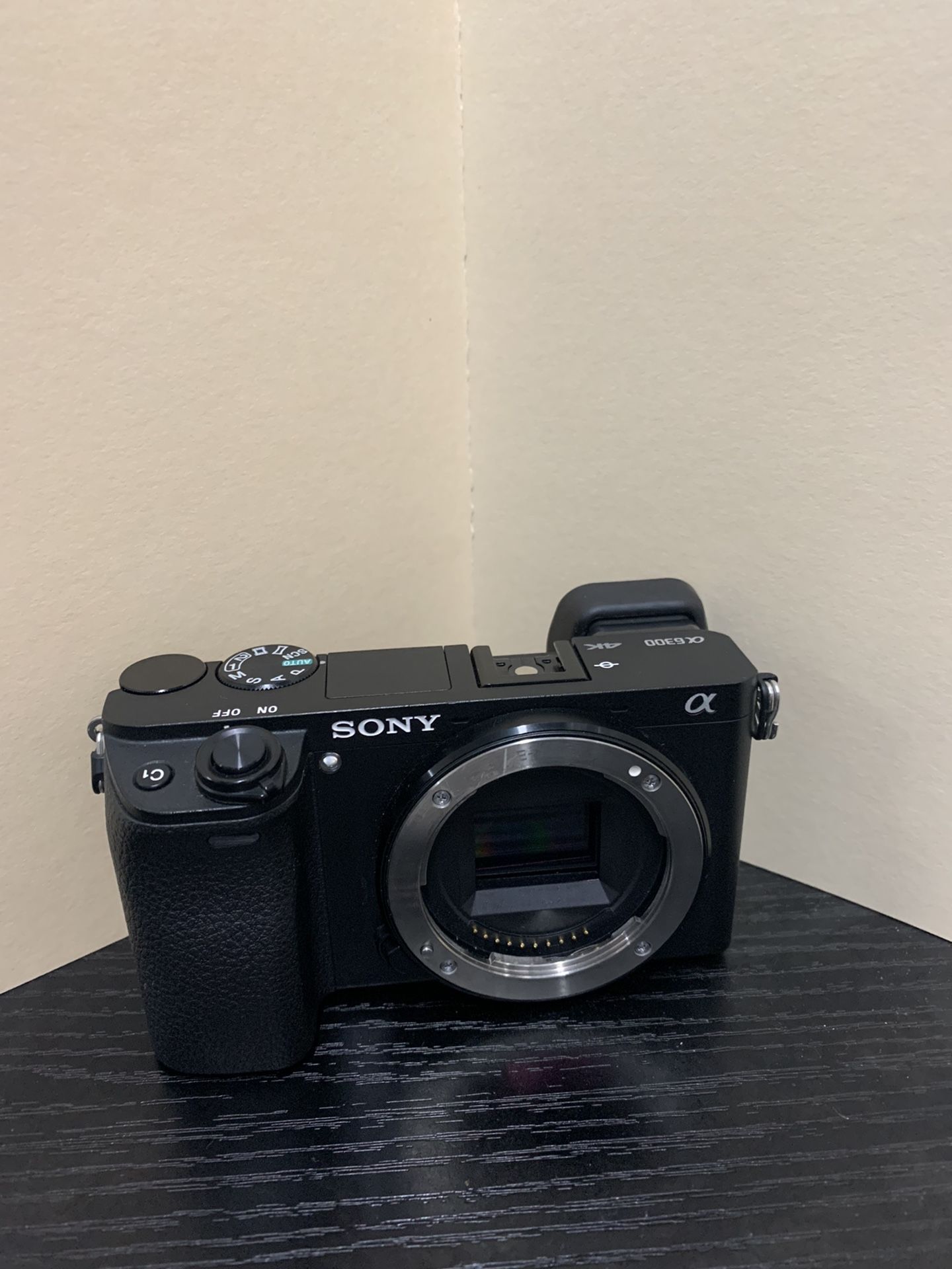 Sony Alpha a6300 Mirrorless Camera