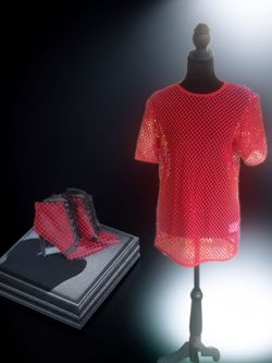 Red Mesh Short Sleeve Top and Mesh shoes
