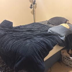 Queen Bed, Frame, And Box