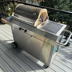 Stainless BBQ