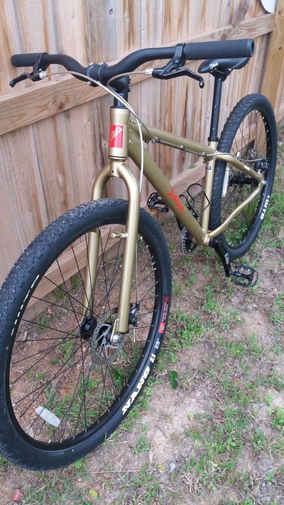 salsa single speed 29er