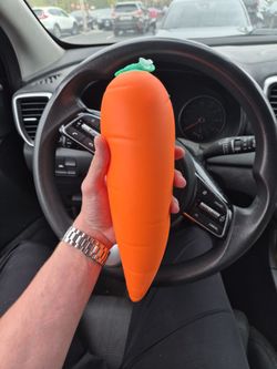 Carrot squishy