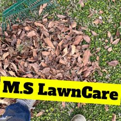 M.S^^Lawn Care..^ Mower