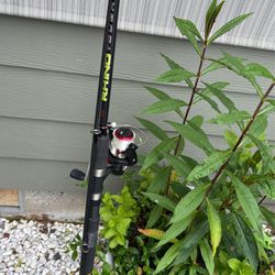 Trout Fishing Rod And Reel