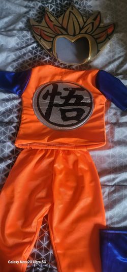Dragon Ball Z Costume