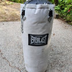 Everlast Boxing Bag