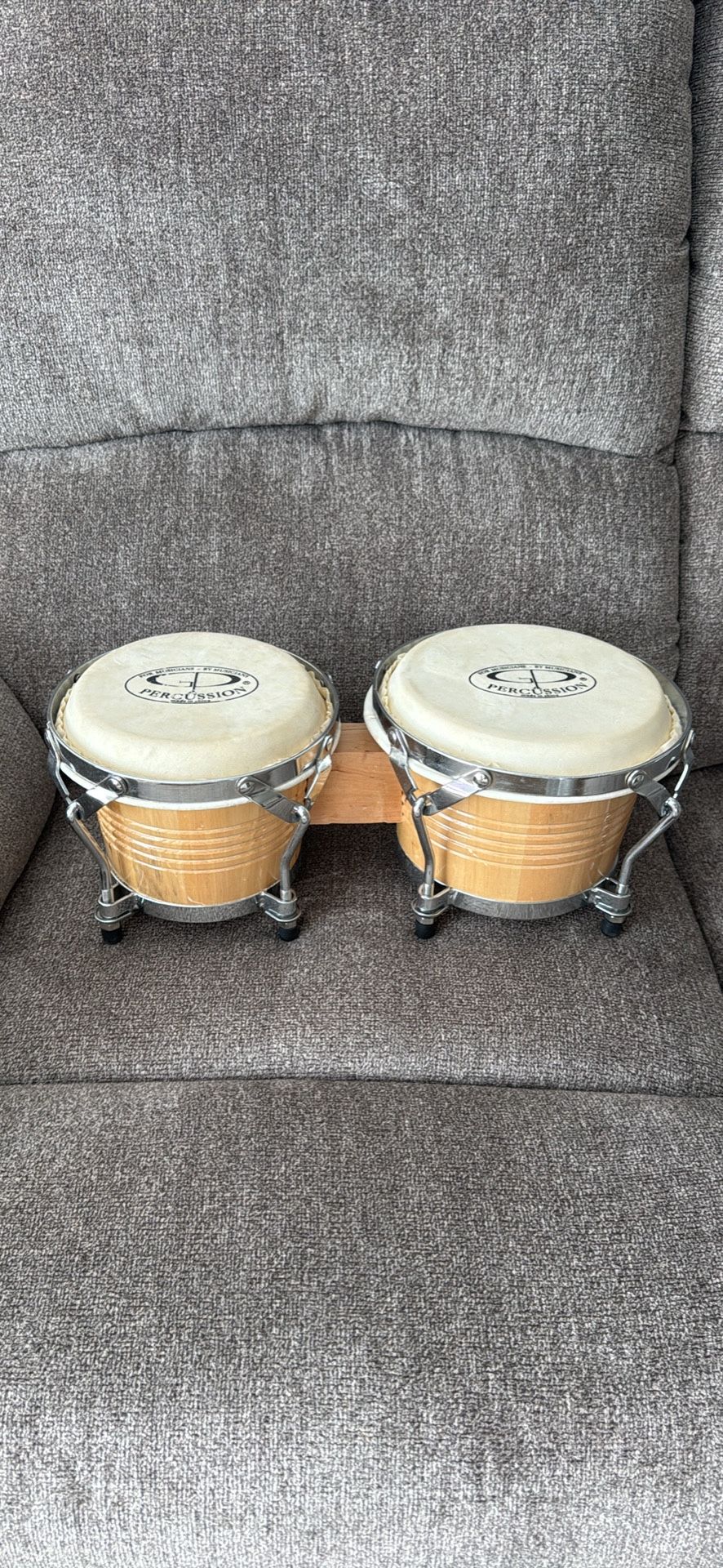 Musician Bongos