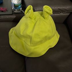 Shrek Hat