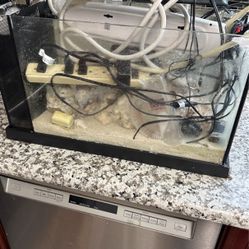 5 Gallon Saltwater Tank With Live Rock