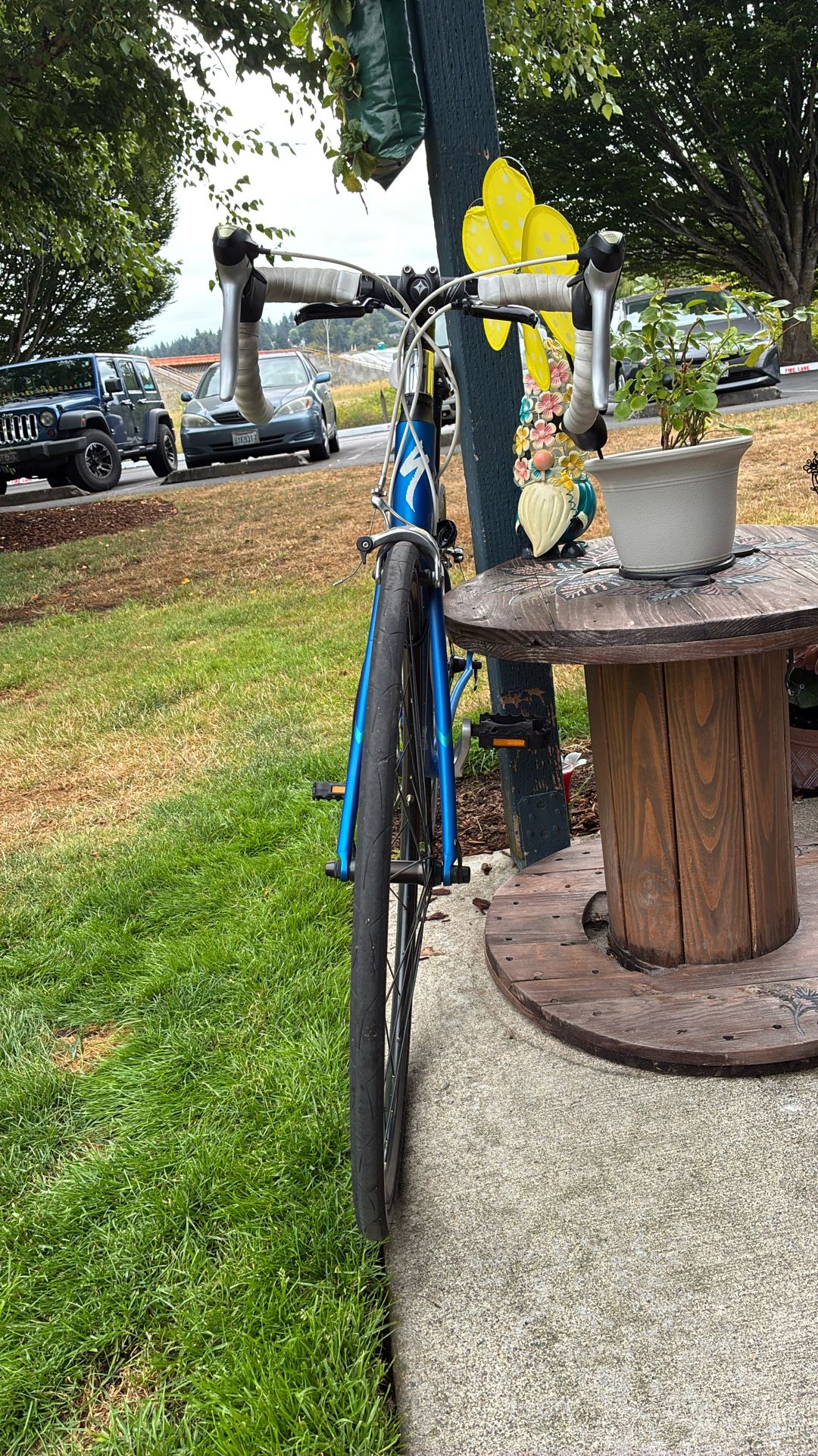 Xs Specialized Dolce Road Bike