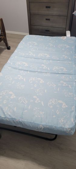 Roll out bed