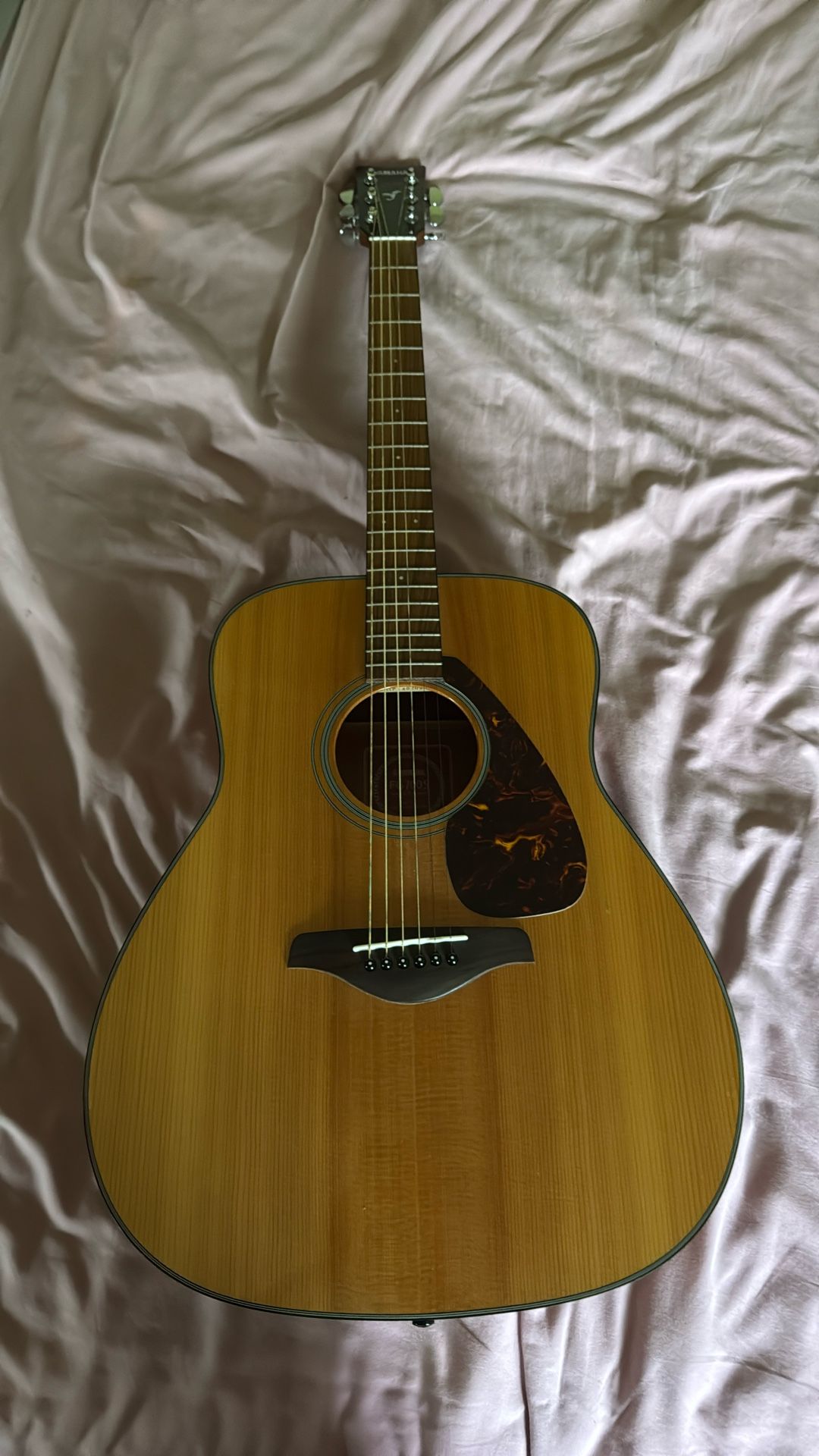 Acoustic guitar