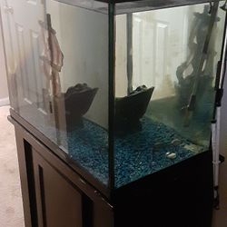 65 Gallon Aquarium