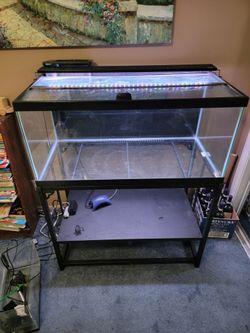 50 gallon aquarium and stand