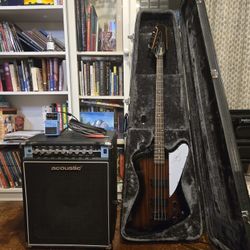 Thunderbird Bass + Gear