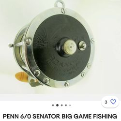 Penn 6/0 Senator And Rod 
