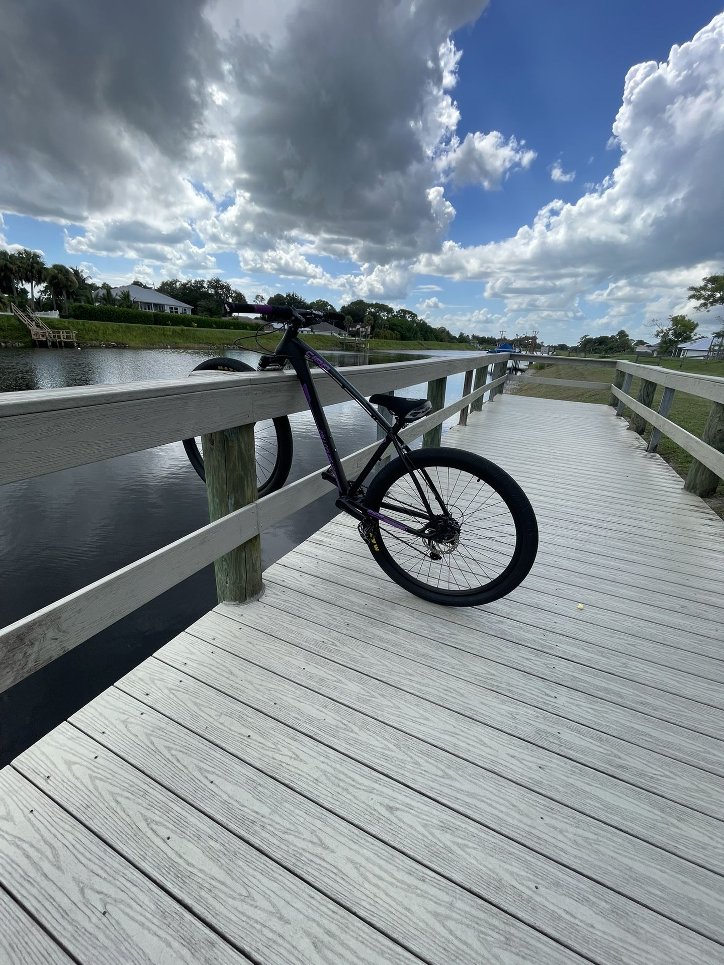 C100