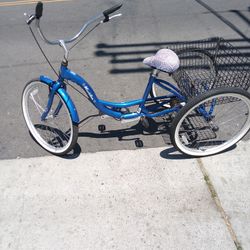 3 Wheel Beach Cruiser