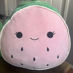 Watermelon Squishmallow