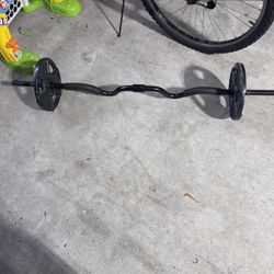 Gold Gyms Curling Bar 