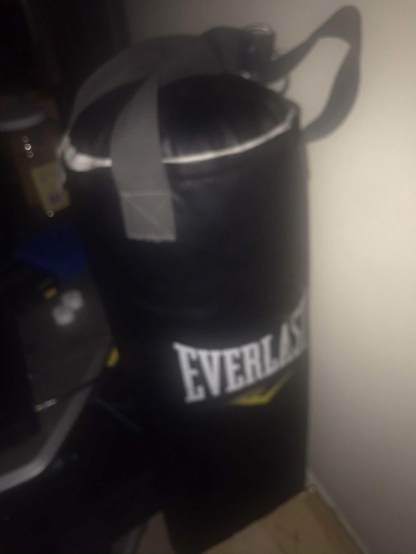 Everest Punching Bag