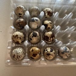 Huevos De Codorniz 
