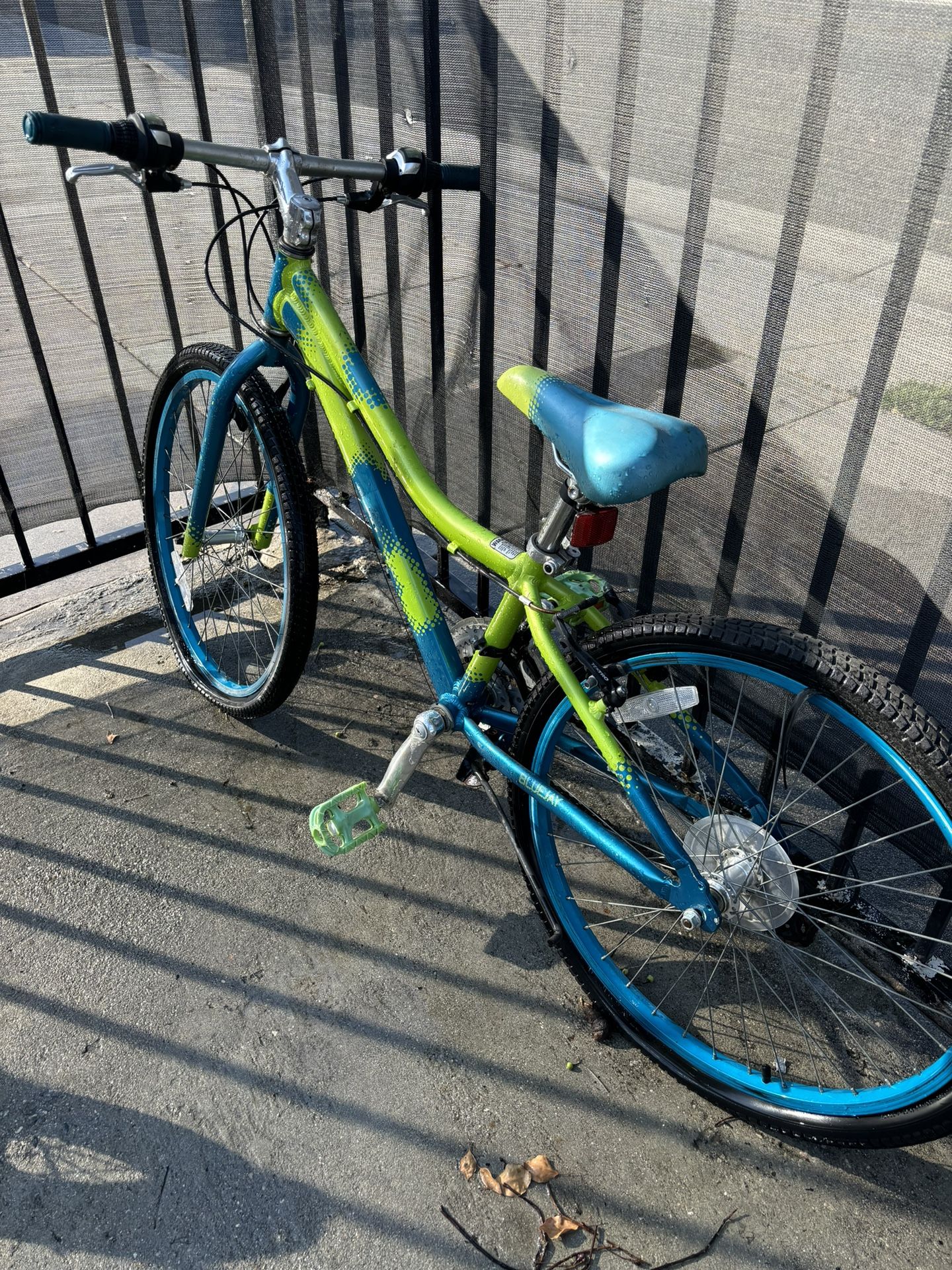 2 Girls Bikes 