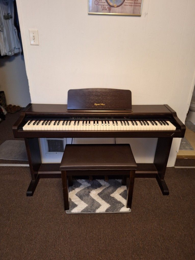 Technics PCM DIGITAL PIANO PX 201
