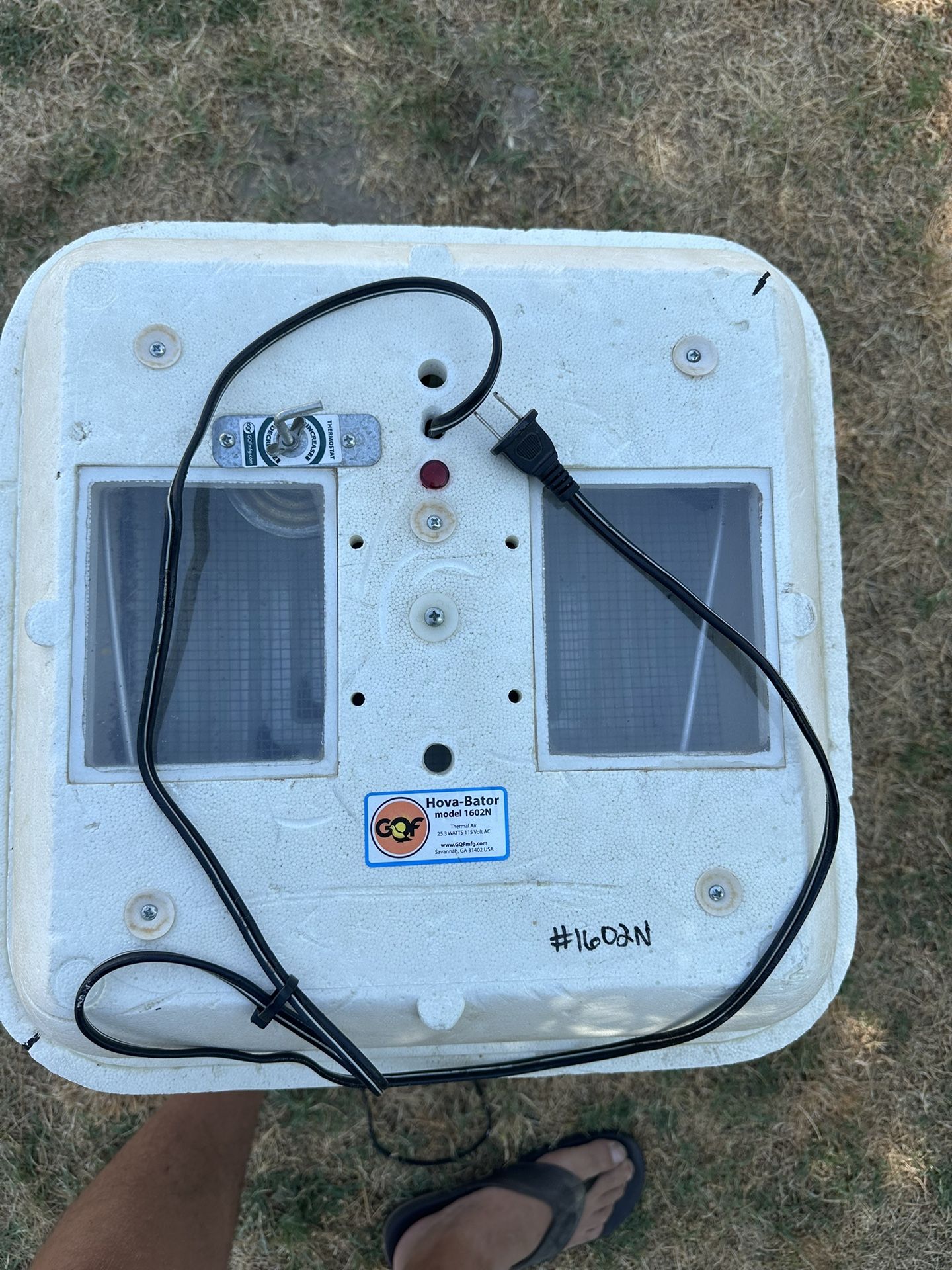Hova Bator Incubator