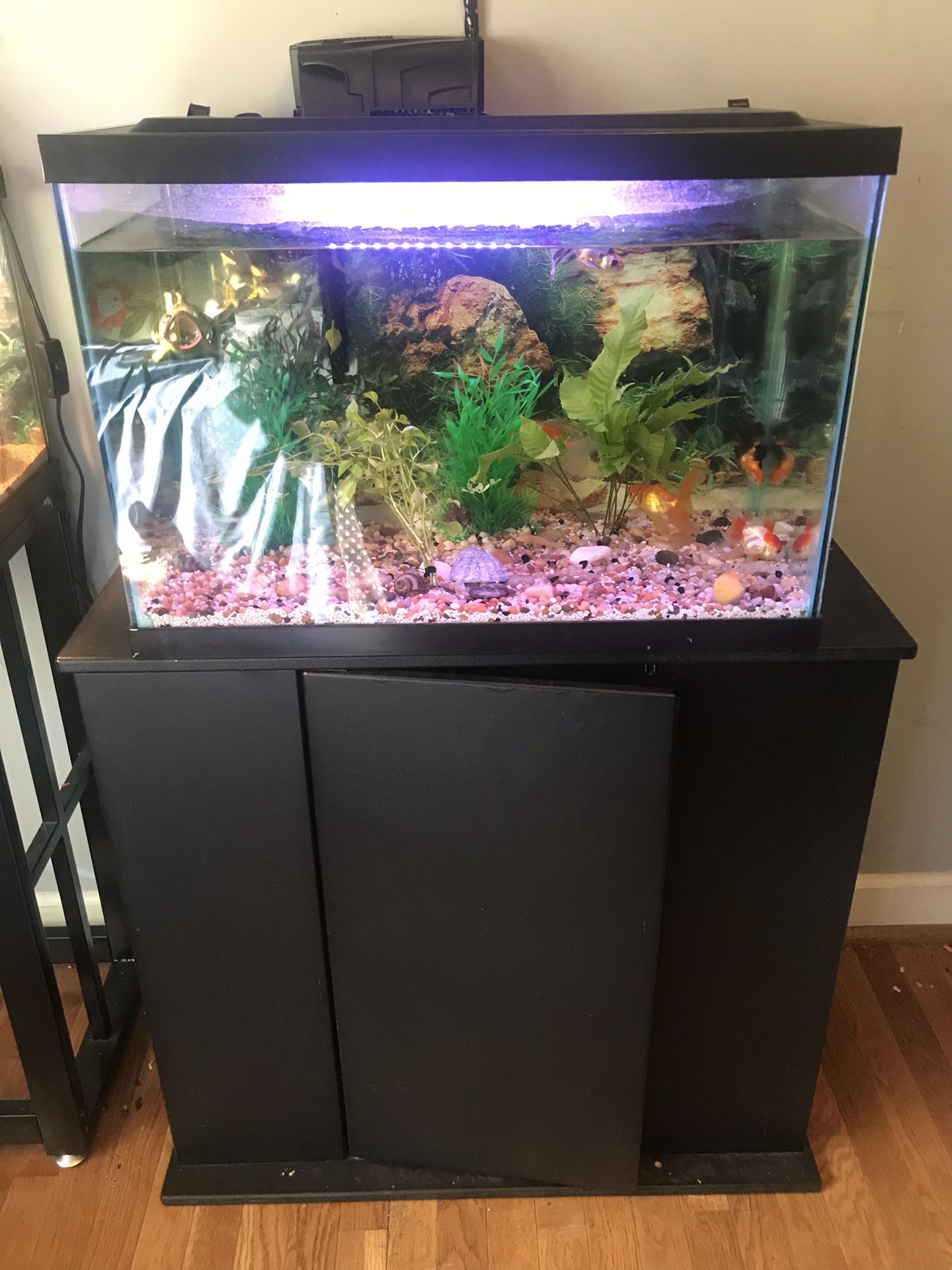 Fish tank set up!