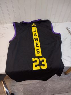 2 Lebron Lake jerseys large