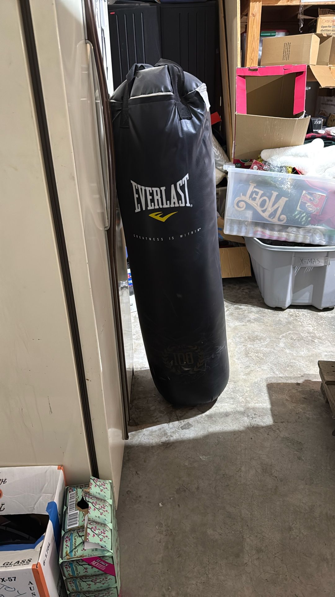 100 Lb Everlast Punching Bag