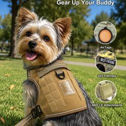 Small Dog 🐶 Harness