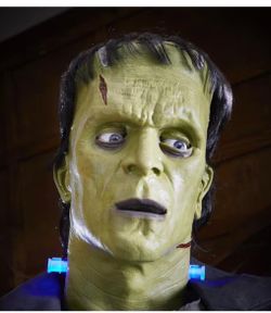 7 FT Animated LED Frankenstein's M