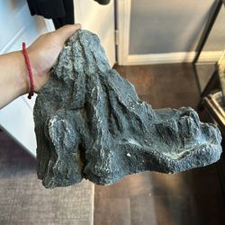 Plastic One Sides Decoration 