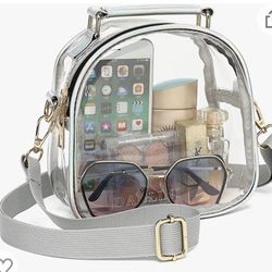 clear purse