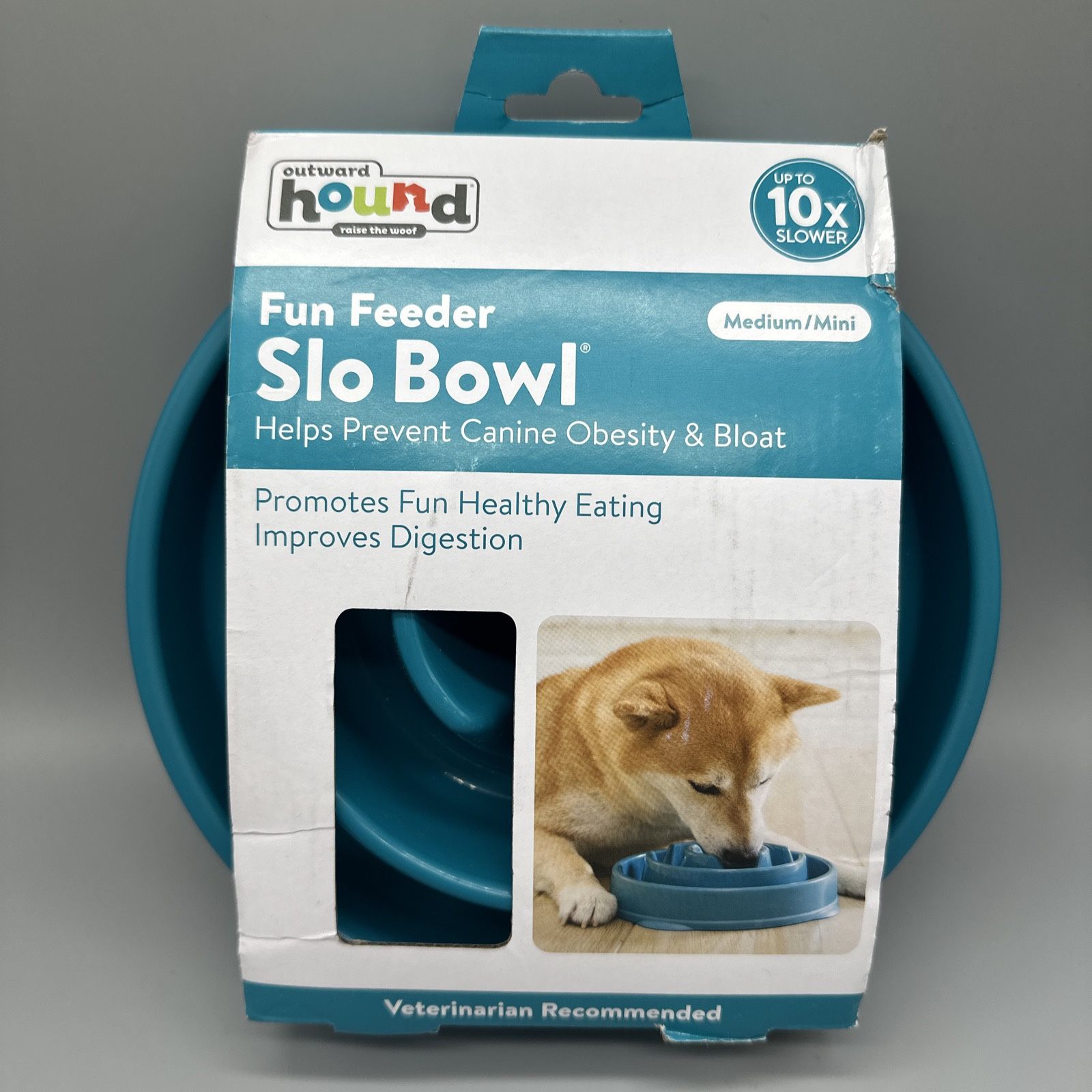 Outward Hound Fun Feeder Slo Bowl, Slow Feeder Dog Bowl, Medium/Mini, Teal