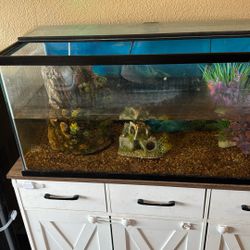 40 Gallon Fish Tank 