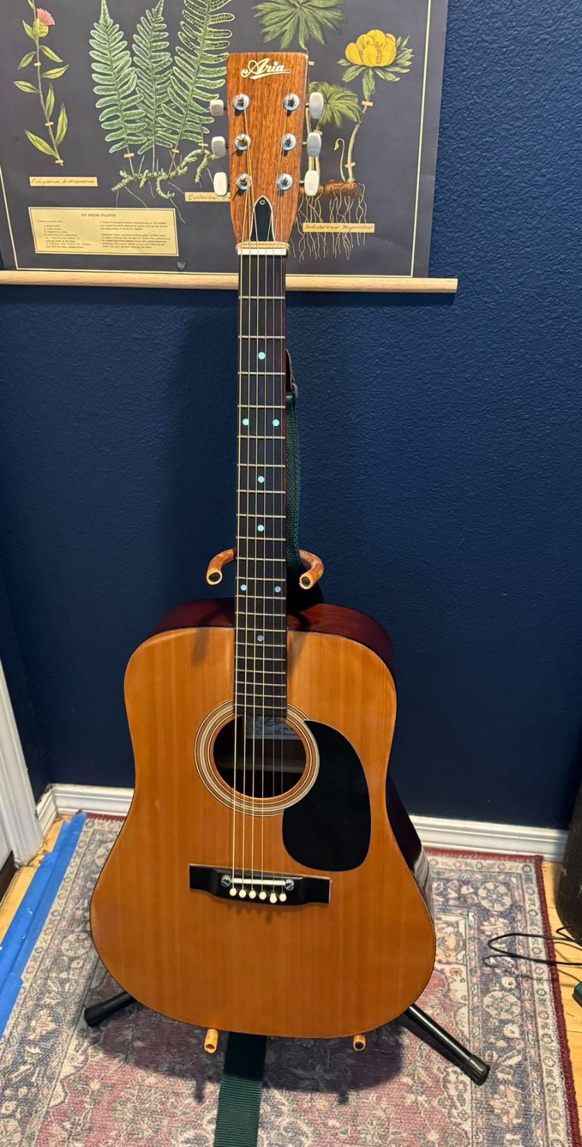 Aria Acoustic Guitar 