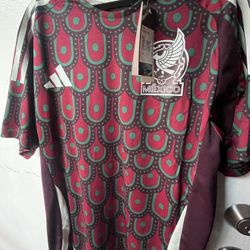 Mexico home Jersey (player Version) 