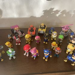Paw Patrol 