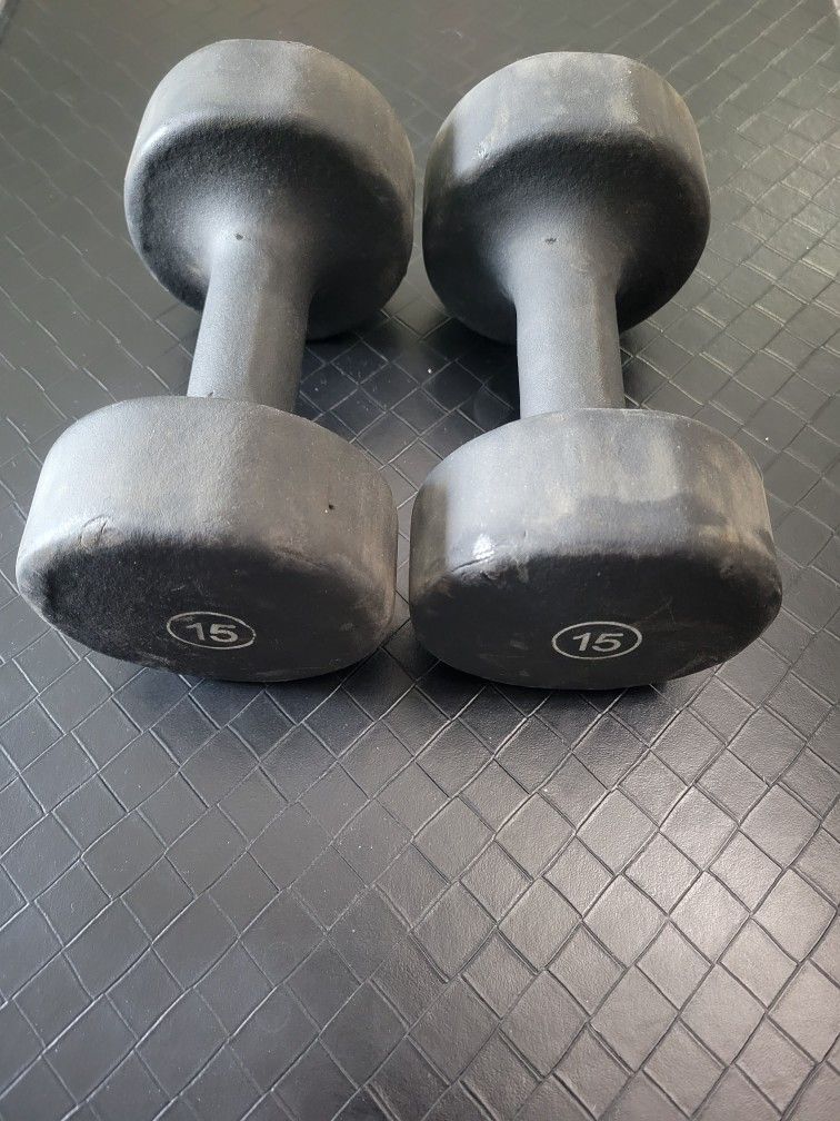 Dumbbells (15lbs Pair)
