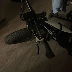 Electric Bike