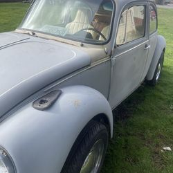 1974 Volk Beetle