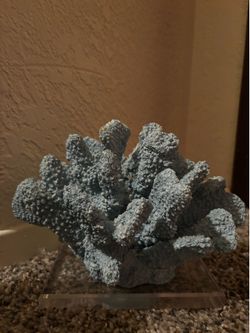 Vintage Natural Blue Coral Specimen on Display Base