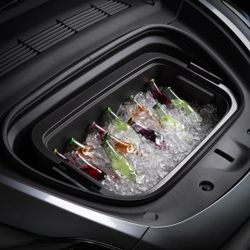 Tesla cooler