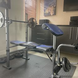 Pure Fitness Workout Bench With Weights