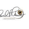 David Pruitt Fine Art
