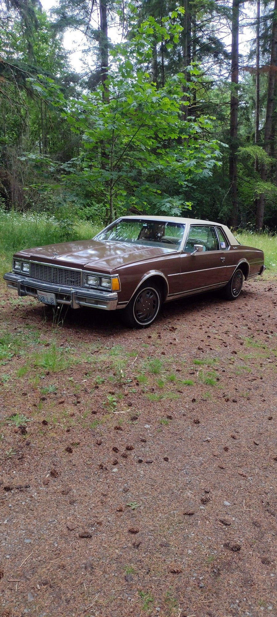 RARE 1979 CHEVY CAPRICE CLASSIC TWO-DOOR WITH LANDAU VINYL TOP. WRAP AROUND " GLASS HOUSE " REAR WINDOW