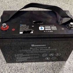 Renogy 12V 100Ah Lithium Iron Phosphate Battery w/ Bluetooth LiFePO4